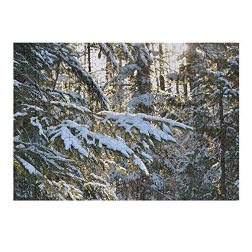 Scott397House Jigsaw Puzzles 300 Pieces for Adults, Large Piece Puzzle Wintry Woods at Trails End Michigan R47 Fun Game Toys Birthday Gifts Fit Together Scott397House Jigsaw Puzzles 300 Pieces for Adults, Large Piece Puzzle Wintry Woods at Trails End Michigan R47 Fun Game Toys Birthday Gifts Fit Together