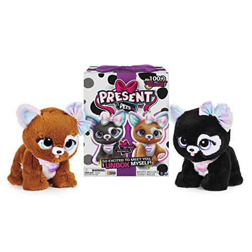 Spin Master- Present Pets - Glitter Pup (6059159)