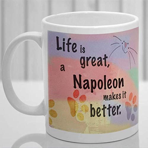 Taza de café personalizada del gato de Napoleón, taza de cerámica del amante del gato 11oz Taza de la bebida del té para el hogar y la oficina, cumpleaños, aniversario, Halloween, idea presente del dí