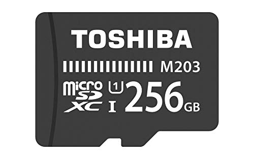 Toshiba THN-M203K2560EA Tarjeta de Memoria, 256gb, Negro