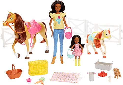Barbie Familia, Juego de amistades de los Animales, muñeca marrón y minimuñecas Chelsea, Caballo Pony, Figura de Cachorro y Accesorios, Juguete para niños, FXH16