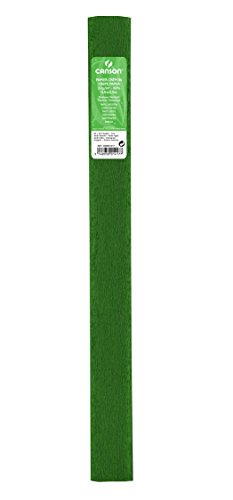 Canson Rouleaux Pack de 10 Rolls Super Value Crepe Papel, 32 g/m² 50 x 250 cm-Helecho Verde