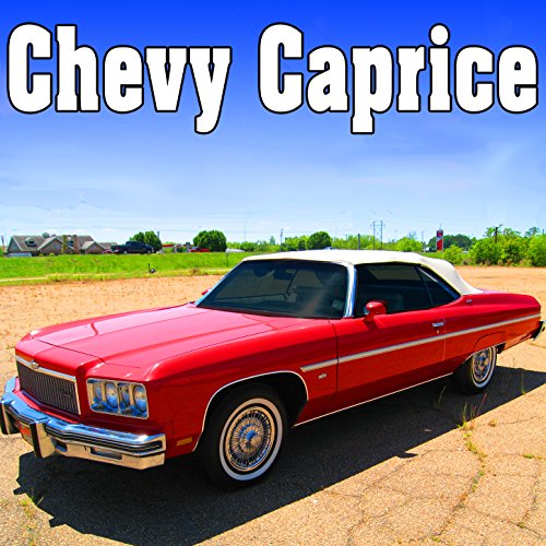 Chevy Caprice, Internal Perspective: Starts, Idles & Accelerates Quickly to High Speed with Tire Squeal