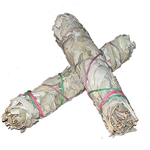 Conjunto de 3: XL long 8+ Inch 21-22cm Californian White Sage smudge stick Salvia Blanca Californiana manojos: Purifica y Limpia Alejando la Energía Negativa de la gente
