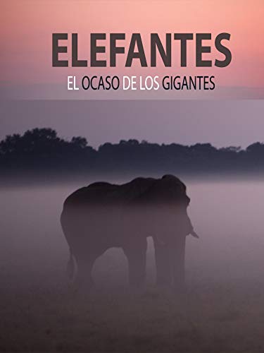 Elefantes, el ocaso de los gigantes