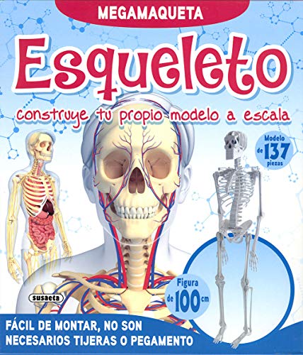 Esqueleto (Megamaqueta)