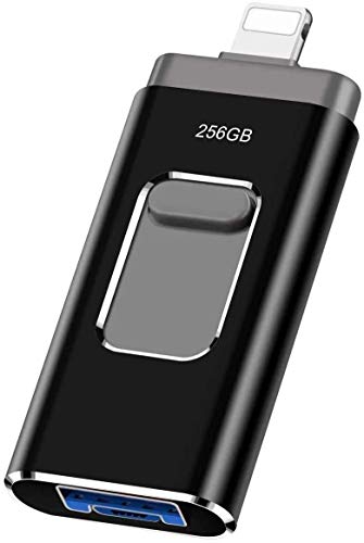 Gosgoly 256GB Memoria USB Pendrive para iPhone iOS iPod iPad OTG Android Computadora Laptop USB 3.0 Memory Stick Almacenamiento Externo (Negro)
