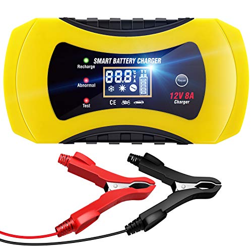 NWOUIIAY Cargador Batería Coche 12V 8A Inteligente Portátil Cargador Batería Moto con Protecciones Múltiples LCD Pantalla Digital para Cargar Baterías de AGM Gel SLA Wet Calcio etc NWOUIIAY Cargador Batería Coche 12V 8A Inteligente Portátil Cargador Batería Moto con Protecciones Múltiples LCD Pantalla Digital para Cargar Baterías de AGM Gel SLA Wet Calcio etc