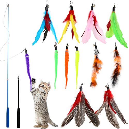 WD&CD 14 Piezas de Set de Juguetes para Gatos, 2 PCS Varita Retráctil para Gato(Negro+ Azul), 12 PCS Juguete Pluma de Gato Interactivo, Plumas, Juguetes Interactivos para Gato, Campanas WD&CD 14 Piezas de Set de Juguetes para Gatos, 2 PCS Varita Retráctil para Gato(Negro+ Azul), 12 PCS Juguete Pluma de Gato Interactivo, Plumas, Juguetes Interactivos para Gato, Campanas