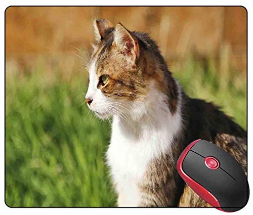 Alfombrilla de ratón Adorable Animal Blur Cat Face Mousepad Gaming Antideslizante Base de Goma Alfombrilla de ratón para Ordenador portátil y computadora