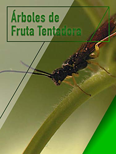 Árboles de Fruta Tentadora Árboles de Fruta Tentadora