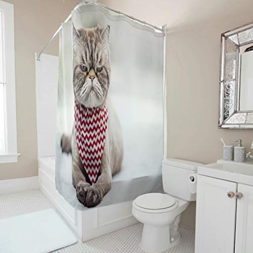 Chicici Fashion Cortina de ducha de secado rápido con diseño de gato graso único, cortina de baño con ganchos, decoración para duchas de baño, color blanco, 120 x 180 cm