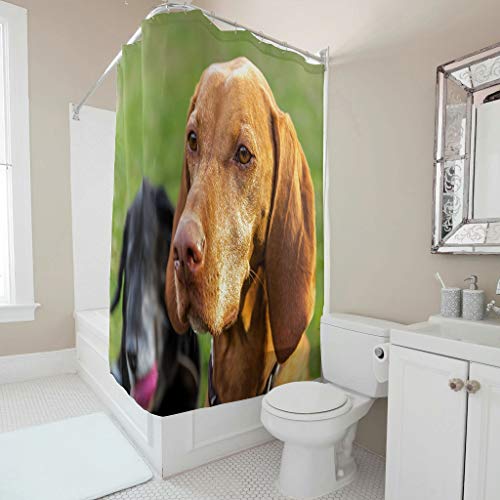 Chicici Fashion Cortina de ducha ultra suave para dos perros, decorativa, cortinas de baño con ganchos, decoración para duchas de baño, color blanco, 200 x 180 cm