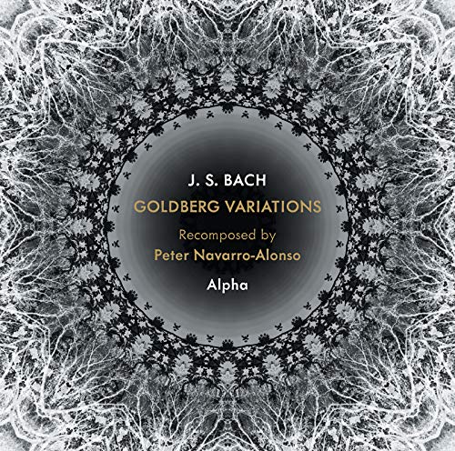 Goldberg Variations, BWV 988 (Arr. P. Navarro-Alonso): Var. 9, Canone alla terza