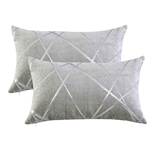 Gris Plata Terciopelo Almohadon Cubre Caso, Confortable Funda de Almohada, Raya Decoración Fundas de Almohada para Sofá Cama Casa Decor 30x50cm Juego de Dos