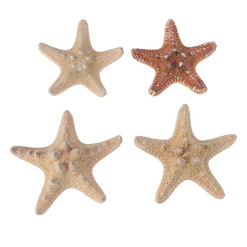 HEALLILY resina estrella de mar ornamento tropical playa océano mar decoración lápiz dedo concha de mar para accesorios de fotografía del banquete de boda 4 piezas