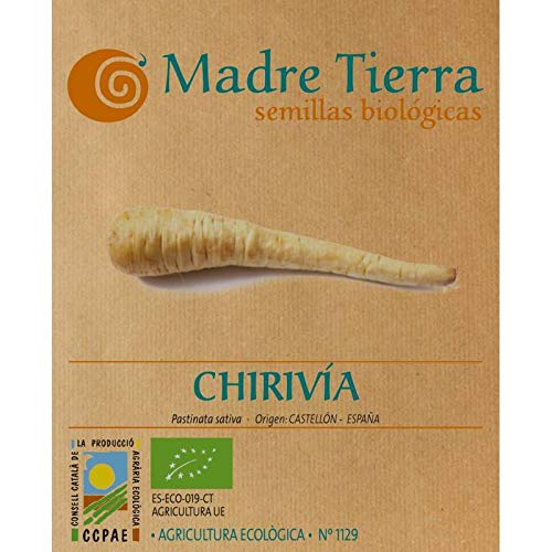 Madre Tierra - Semillas de Chirivía - ( Pastinata Sativa) Origen Castellón - España - Aprox- 1 Gramo