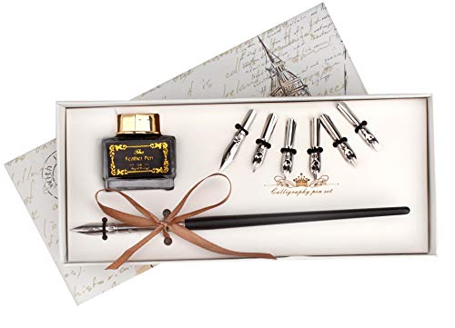 Nassau Fine Art Juego de bolígrafos de caligrafía con 7 plumas diferentes y tinta negra en elegante caja de regalo, adecuado para caligrafía artística, escribir, diario y como regalo