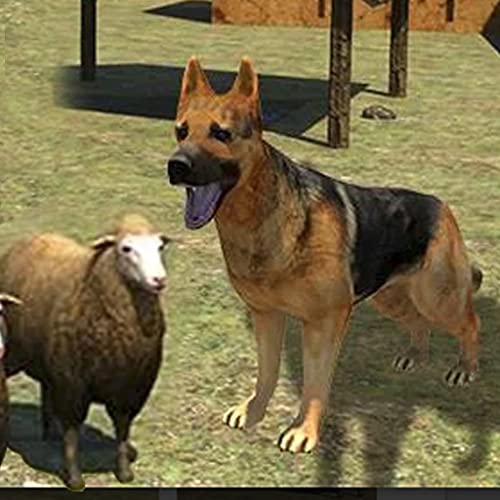 perro de granja vs ovejas callejeras