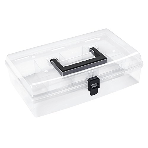 'Prosperplast Caja de almacenamiento Organizador Caja de plástico transparente 5 compartimentos Tapa 12 clasificación, 1 pieza, ahora nun12