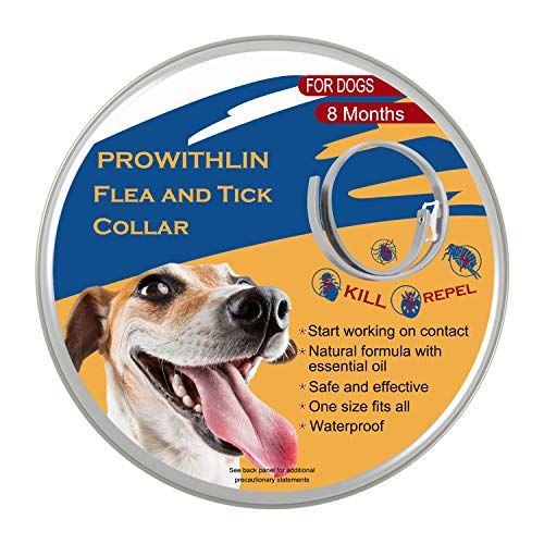 prowithlin Collar Antipulgas Ajustable para Perros Pequeños, Medianos y Grandes - Impermeable | Tratamiento de Pulgas para Perros - 8 Meses de Protección Efectiva - Aceite Esencial Natural