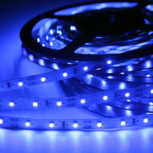 Signcomplex Tira de LED flexible 3528 SMD Cinta de LED con 3M cinta autoadhesiva 5m un carrete 12V DC (Azul)