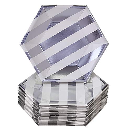Silver Spoons Silver Plates Pequeños Desechables, 24 Unidades, Fabricados con Cartón Resistente, Stripe 7,5 Pulgadas/19 cm, Paper