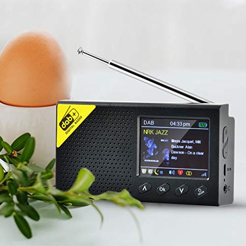 UYT Cierra tus ojos y relaja el artefacto Radio digital portátil Bluetooth DAB/DAB+ y receptor FM Radio recargable