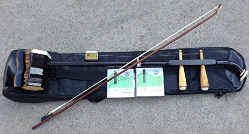 Yunzhi Violín chino profesional, Erhu, instrumento musical de 2 cuerdas