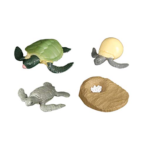 BESPORTBLE Ciclo de vida de una tortuga de mar verde, juguete Safari de animales del mar, juguetes para niños y estudiantes