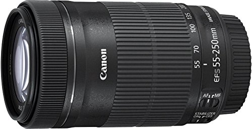 Canon EF-S 55-250 mm f/4-5.6 IS STM 8546B005 - Objetivo para Canon (Distancia Focal 55-250 mm, Apertura f/4-32, Zoom óptico 4.55x, estabilizador, diámetro: 58 mm), Color Negro