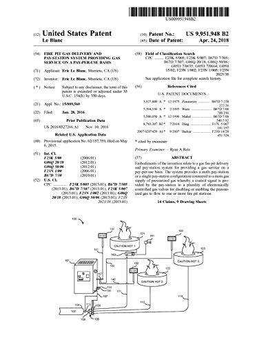 Fire pit gas delivery and pay-station system providing gas service on a pay-per-use basis: United States Patent 9951948 (English Edition)