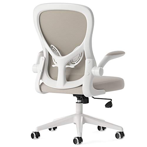 Hbada Silla de escritorio ergonómica, silla de oficina para ordenador con reposabrazos abatibles y soporte lumbar, altura ajustable, color gris