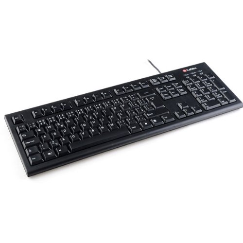 Labtec Standard Keyboard Plus, DE - Teclado (DE, PS/2, QWERTY, Negro, Windows 95, 98, NT 4.0, 2000, ME, XP)