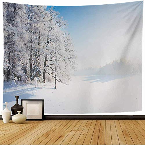 N\A Tapiz para Colgar en la Pared Winter Forest Park Line Snow Blue Rural Travel Country Parks Highway Row Outdoor Sleet Snowy in Vintage Tapiz para Dormitorio Hogar Dormitorio