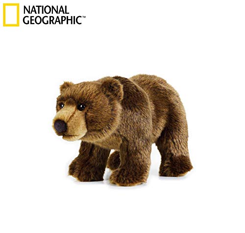 National Geographic - 8004332707400 - Peluche Oso