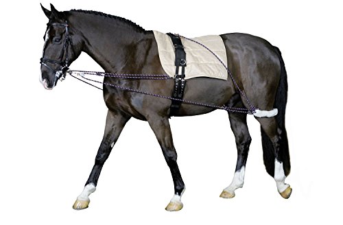 Para la práctica de equitación Longierhilfe Pony y pequeños caballos |  Longiersystem warmbloods | Sistema de entrenamiento Longier-y | Cuerda riendas auxiliares