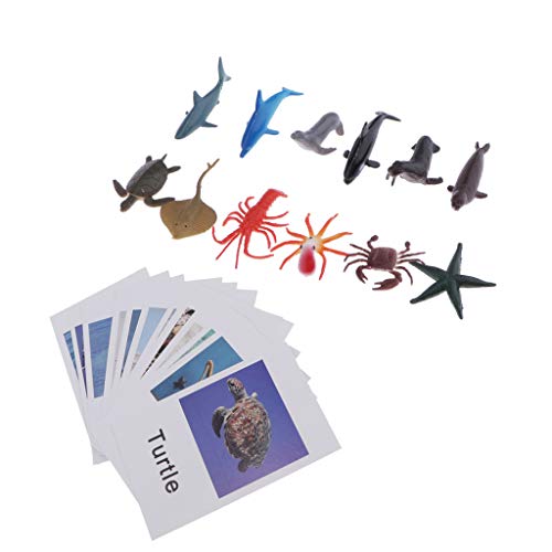 perfeclan Montessori Ocean Animal Match Cards, Figuras, Juguete De Aprendizaje De Juegos Combinados, Materiales De Lenguaje