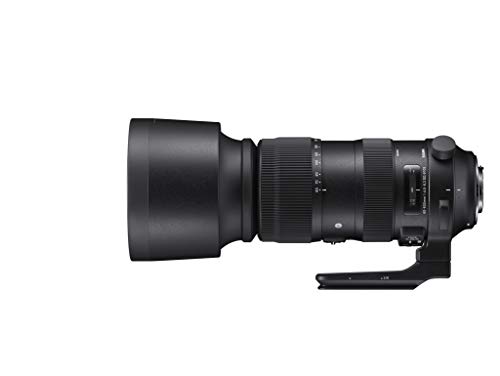 Sigma F4.5-6.3 DG OS HSM Sport - Teleobjetivo Zoom 60-600 mm para Canon, Color Negro