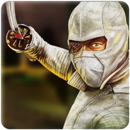 Superhéroe: el guerrero ninja: Miedos de batalla escalofriantes de la lucha de las sombras