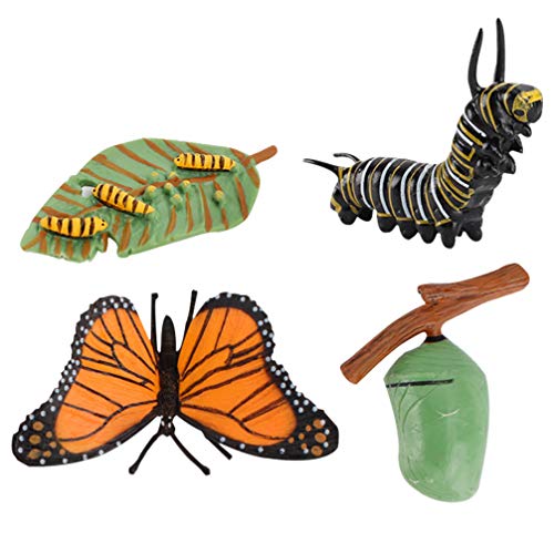 Tomaibaby 4 Unids Ciclo de Vida Figuras de Mariposa Insecto Biología Ciencia Modelo Juguetes Figuras Educativas Evolución Juguete Etapa de Crecimiento Modelo para Niños