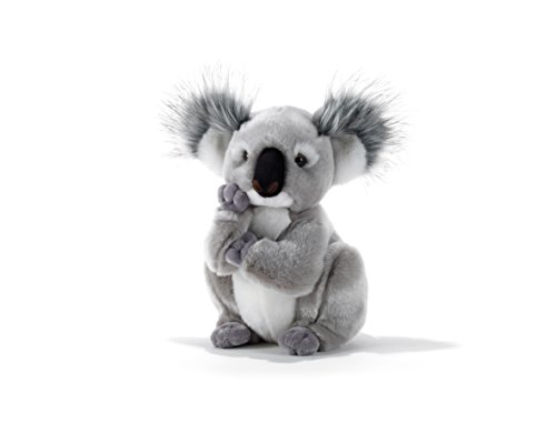 TOYLAND - Koala de Peluche (15747) TOYLAND - Koala de Peluche (15747)