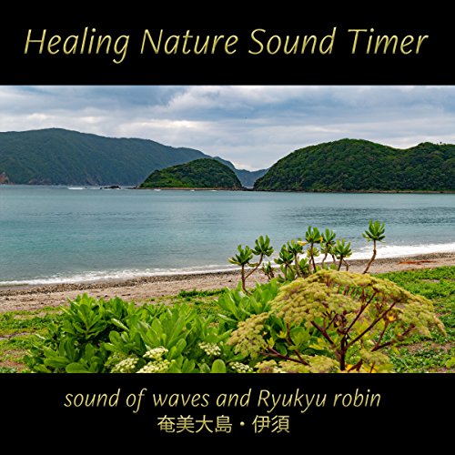 Wave sound and Ryukyu robin with a lot of different songs in AMAMI (nature sound)
