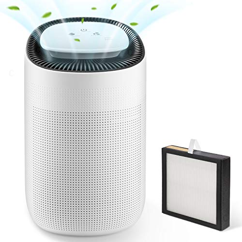 YISSVIC Deshumidificador Electrico 1000ml Deshumidificación y Purificación 2 en 1 Absorber 750ml/24H con Filtro HEPA Silencioso Bajo Consumo para hogar, Dormitorio, Oficina, ect. YISSVIC Deshumidificador Electrico 1000ml Deshumidificación y Purificación 2 en 1 Absorber 750ml/24H con Filtro HEPA Silencioso Bajo Consumo para hogar, Dormitorio, Oficina, ect.
