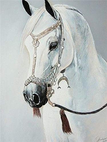 5d diamante pintura animal taladro completo redondo diamante bordado caballo otoño decoraciones para el hogar A12 50x70cm