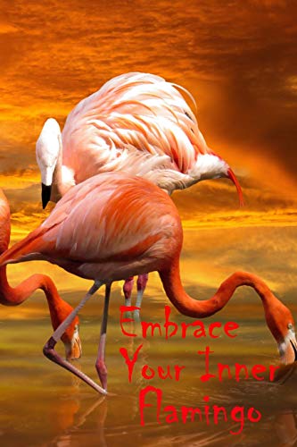 Embrace Your Inner Flamingo: Cute Pink Flamingo Notebook Journal Diary for everyone - tropical flamingo