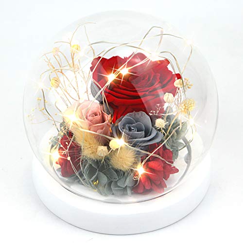 Forever Flowers - Rosas preservadas para mujer, mamá, novia, esposa, rosas auténticas frescas, regalo elegante para el día de San Valentín, cumpleaños, aniversario (rojo suerte)