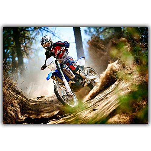 HUAZAI Moto Motocicleta Mountain Bike Deportes Concurso Póster Custom Hogar Decoración Moda Seda Tela Pared Poster Diseño de Coche Papel Pintado (Color : YD450, Size (Inch) : 40x60 cm)