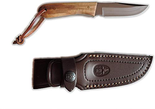 Muela Cuchillo BISON-9OL hoja de acero MoVa de 9 cm y empuñadura de olivo para Caza, Pesca, Supervivencia y Bushcraft Realizado en Ciudad Real + Portabotellas de regalo