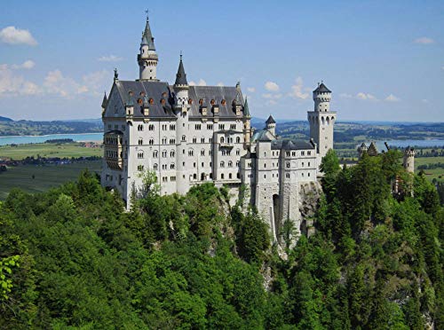 N\A Puzzle Jigsaw Rompecabezas 500 Piezas Puzzles - Schloss Neuschwanstein - Puzzle DIY Art